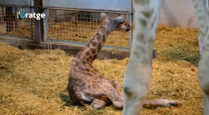 Fin de semana nublado