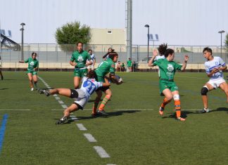 rugby