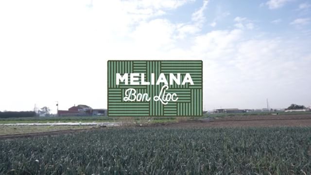 Meliana Bon Lloc