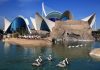 El Oceanogràfic, clave en el turismo pero también en la conservación marina Oceanogràfic