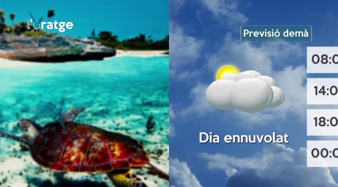 Per a demà s’esperen tormentes en la provincia