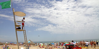 Vigilantes de la playa
