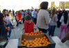 Productos ecológicos y made in Comunitat Valenciana en los colegios Consumo fruta en los colegios
