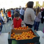 Consumo fruta en los colegios