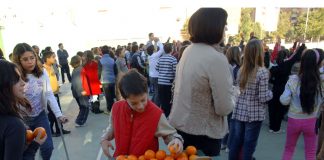 Consumo fruta en los colegios