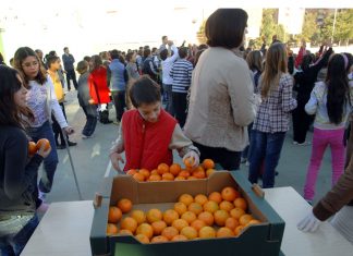 Consumo fruta en los colegios