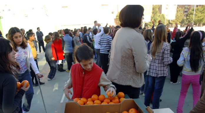 Productes ecològics i made in Comunitat Valenciana en els col·legis Consumo fruta en los colegios