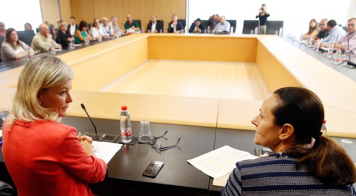 Bravo: «El plurilingüisme no suposa un atac per al castellà» Bravo