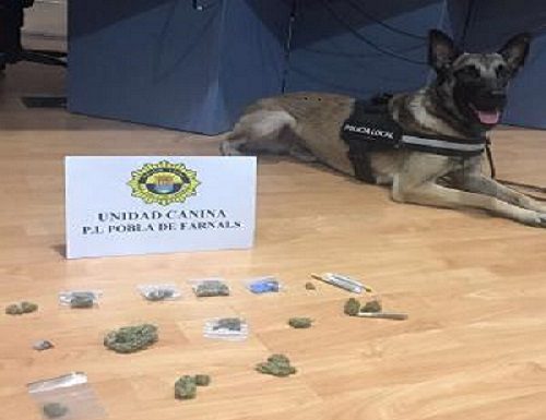 Decomissen 5 armes blanques a menors de Pobla de Farnals