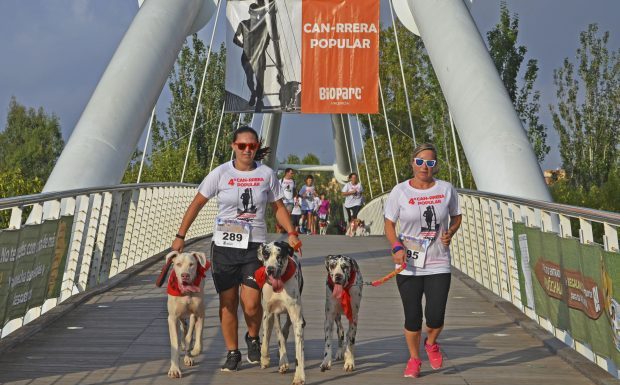 Corre amb el teu gos en la CAN-RRERA popular al Bioparc can-rrera