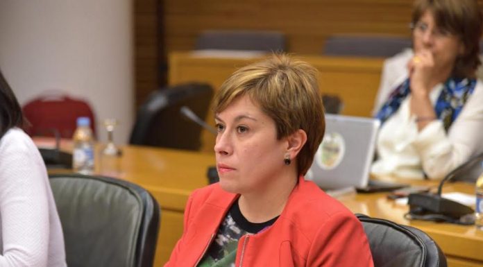 Ventura (Cs): «La bogeria de Puigdemont provoca conflictes en les autonomies» Ventura