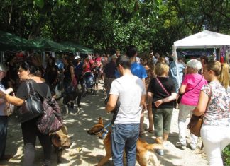 Feria Animalista