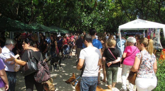 Valencia celebra la III Feria Animalista Feria Animalista