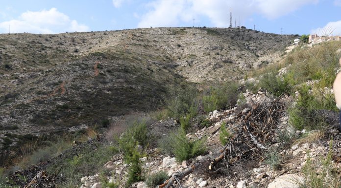 Torrent inicia la reforestació de la Serra Perenxisa