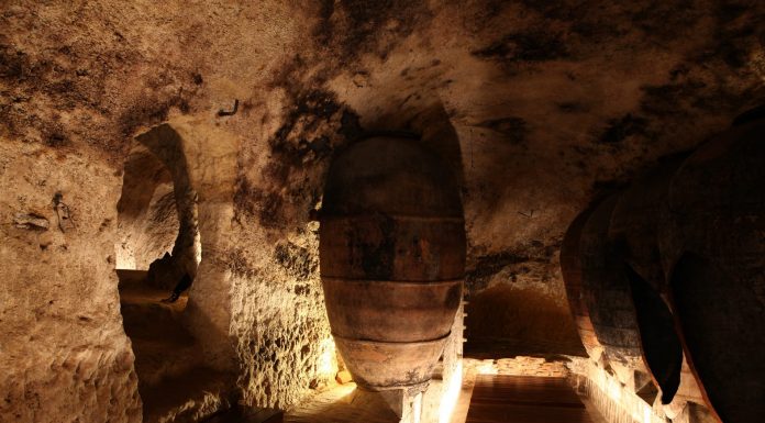 Bodegas Murviedro abre su Cueva Museo en Requena bodegas