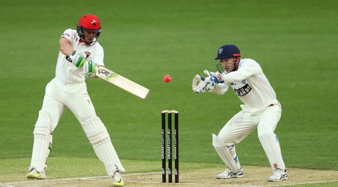 El primer torneig de cricket arriba a València cricket