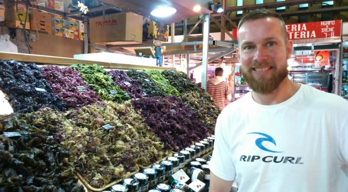 Javier Morcillo ens introduix en el món de les algues algas