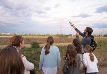 Murciélagos contra las plagas