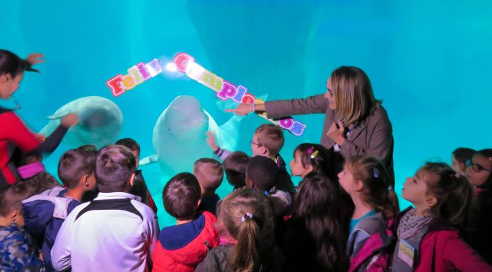 Kylu celebra el seu primer aniversari en l’Oceanogràfic bebé