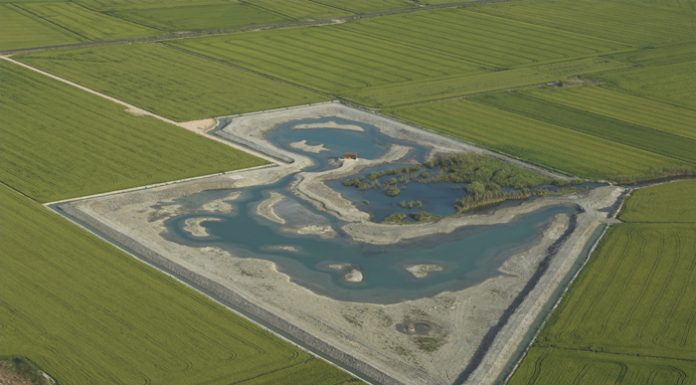 L’Albufera de València recupera el Ullal de Baldoví