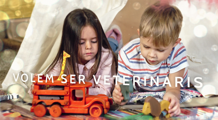 Estalvia diners comparant el preu dels joguets juguetes