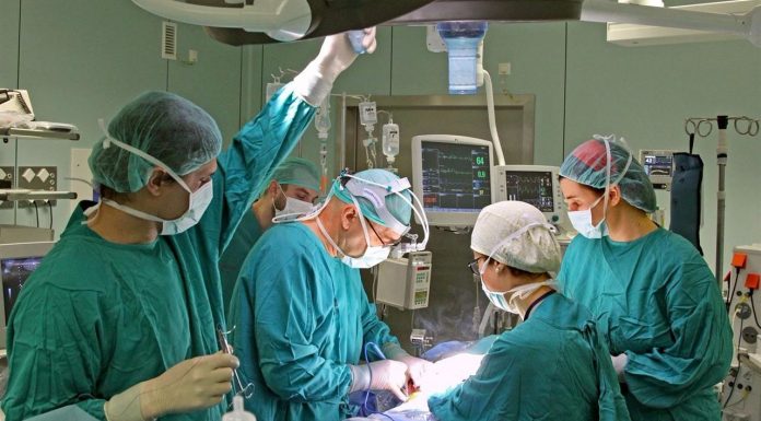 El Peset aconsegueix els 1.000 trasplantaments renals en aquest 2017 trasplantes