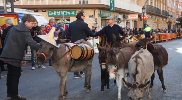 Programa de actos para este fin de semana de la fiesta de Sant Antoni