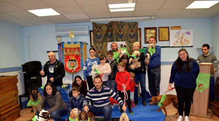 Naix la primera comissió fallera per a gossos Comisión para perros