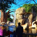 Bioparc