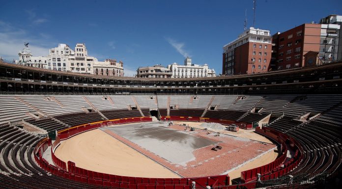 De coso de bous a meca del tennis, així es transforma la Plaça de Bous per a la Copa Davis Davis