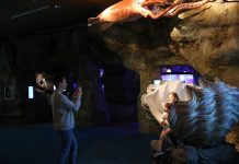 Els «Misteris del Mar» al descobert en l’Oceanogràfic Oceanogràfic