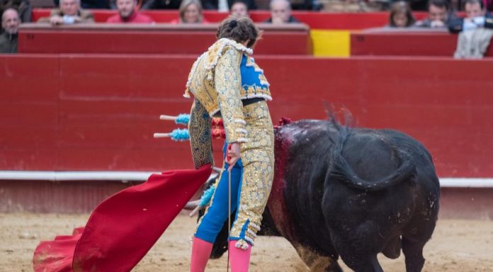 ¿Qué día torea Roca Rey en la Feria de Fallas 2024? ¿Qué día torea Roca Rey en la Feria de Fallas 2024?