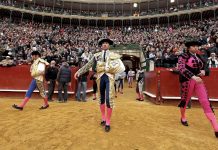 exposiciones