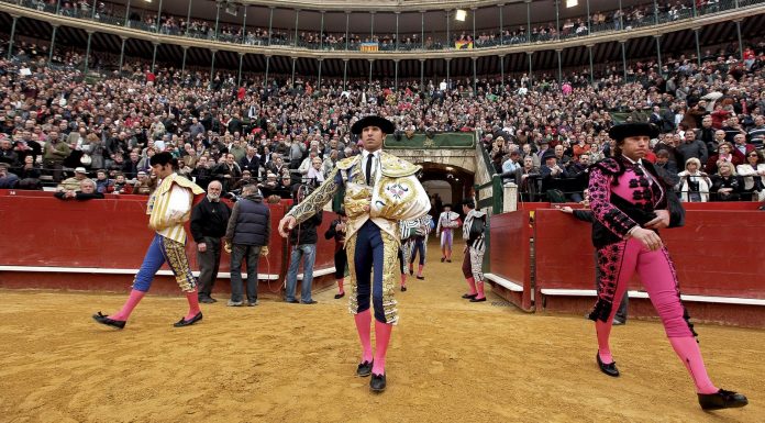 Set exposicions taurines obrin les seues portes en la Plaça de Bous de València exposiciones