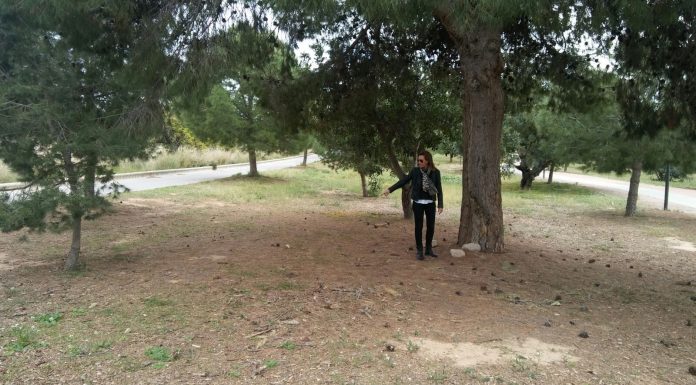 Paterna construirà gateres en el polígon de Tàctica gateras en Táctica