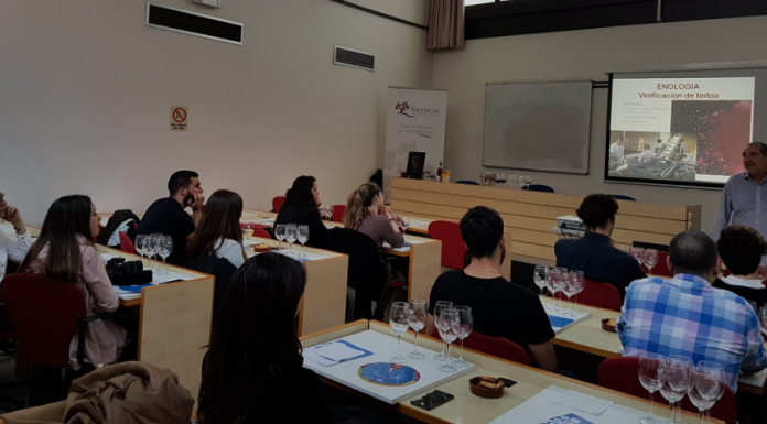 La DO Vins de València acosta la cultura vinícola als més joves amb ‘Catas Millennials’ vinos