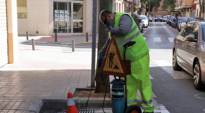 Torrent inicia el control de plagas de cucarachas, ratas y mosquito tigre Control plagas Torrent