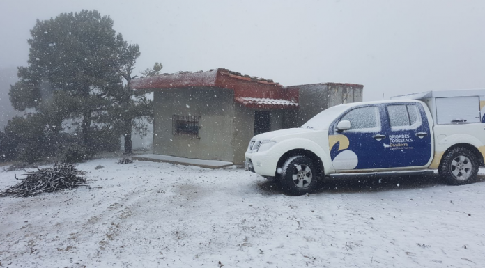 Torna el fred i la neu a la primavera nieve