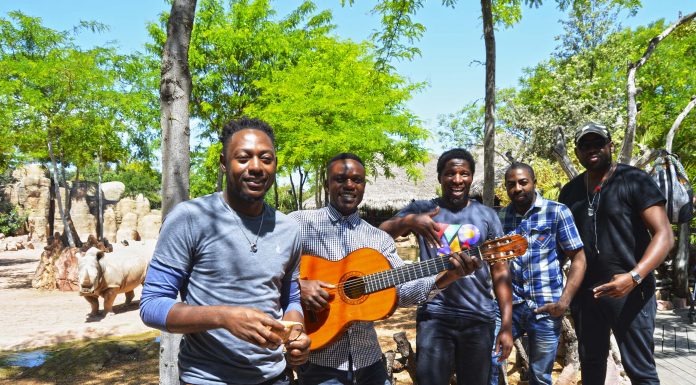 Elemotho utilizará la música para «Salvar a los rinocerontes» en Bioparc Valencia Elemotho
