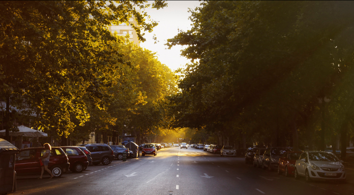 Grezzi podria eliminar l’aparcament de les principals vies de València Plan
