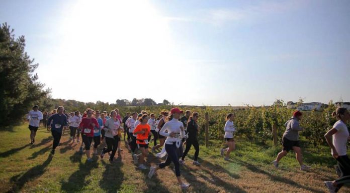 Running, vi i gastronomia s’uneixen a Requena contra el càncer de pell running