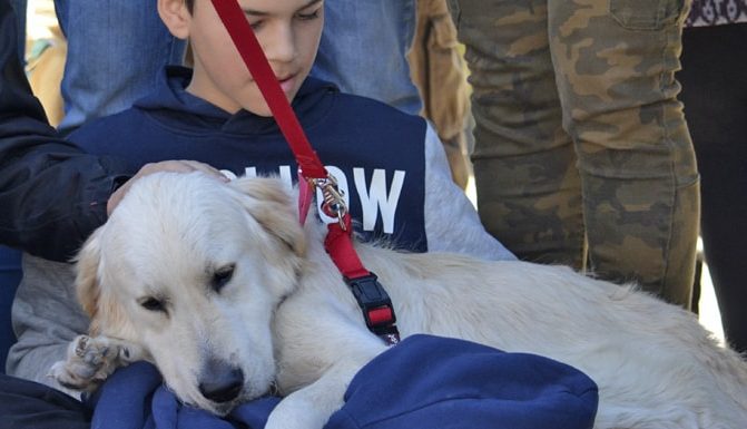 Al maig esdeveniments solidaris, monòleg i concerts en la plaça exterior de Bioparc