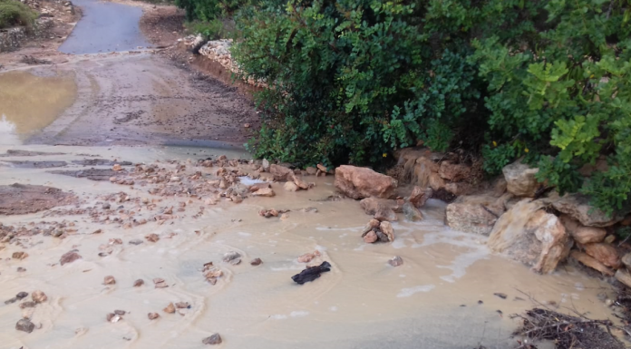 Les últimes tempestes provoquen pèrdues de 4,5 milions d’euros al sector agrari de València tormentas