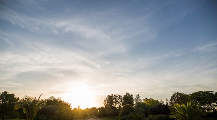 Parc de la Pau, únic cementeri de València amb més de 10 hectàrees per a columbaris parque