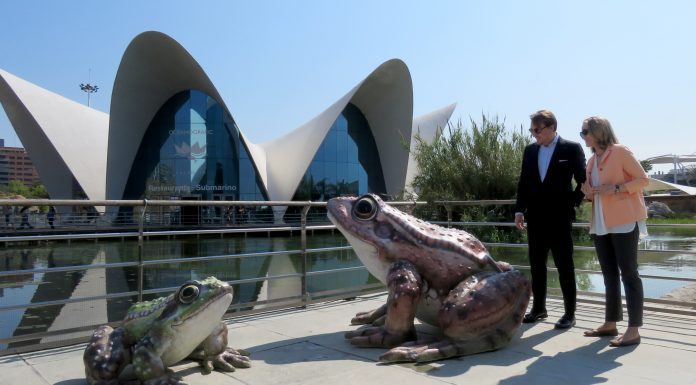 L’Oceanogràfic incorpora un nou espai molt lligat al Llevant U.D. Oceanogràfic