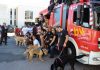 La unitat canina dels Bombers de València passa un matí amb xiquets amb discapacitat Bomberos