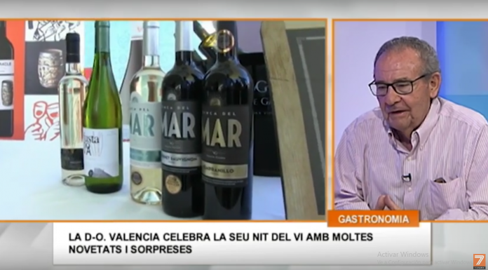 El vi de D.O. València es converteix en el segon més exportat d’Espanya vino