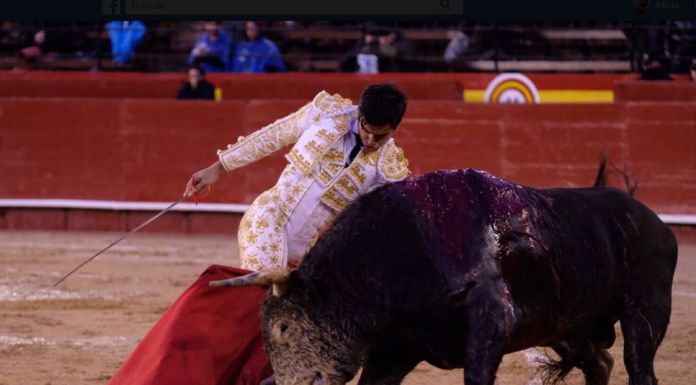 Manzanares, Castella i Roca Rey lluiran capots en la Fira de Juliol de València Feria