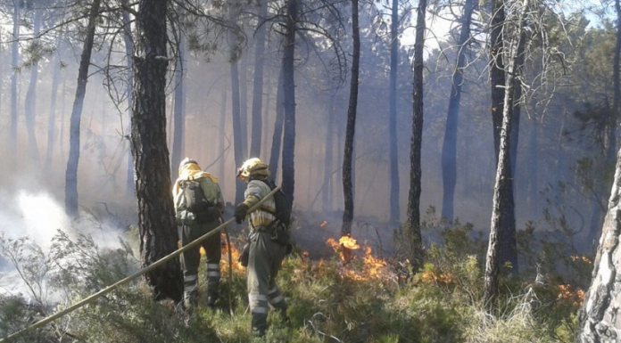 Risc d’incendis forestals en l’interior de la provincia