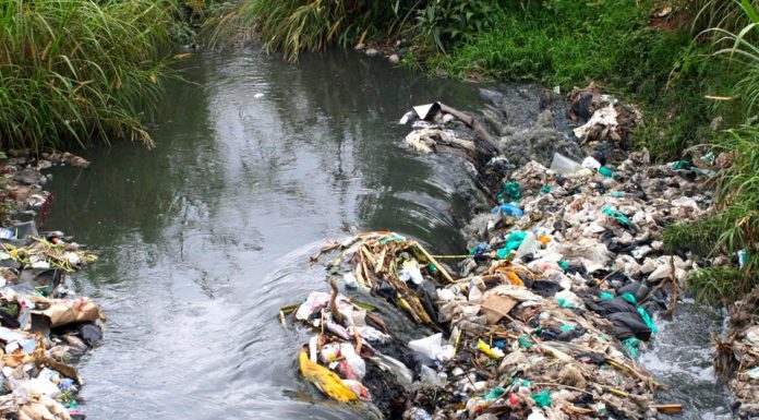 L’ONU anuncia que en 2050 hi haurà 12.000 milions de tones de plàstic plástico